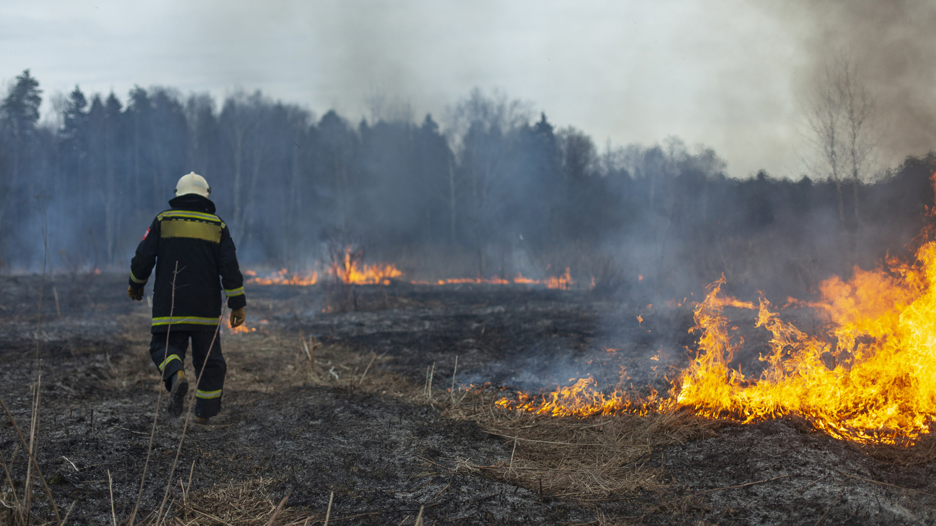 wildfires response man in firefighter gear standing in a burning field responding to a wildfire event