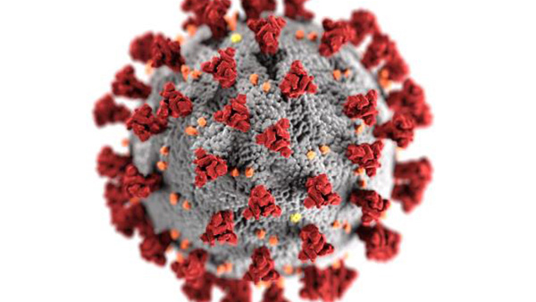 covid virus Microscopic image of COVID-19