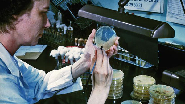 ecoli Lab worker conducting experiment