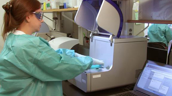 lab worker h1n1 Lab worker conducting experiment
