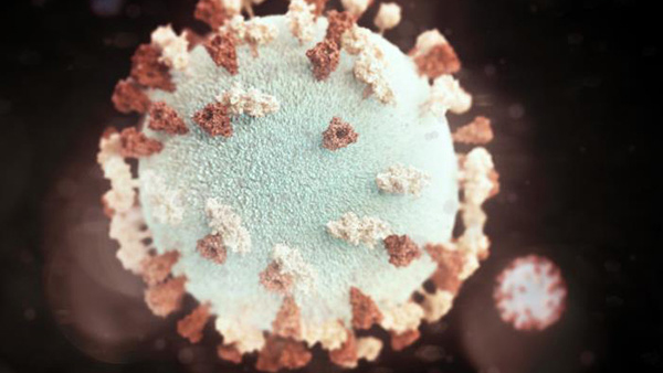 mumps Microscopic image of Mumps
