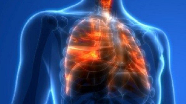 lungs Illustration of lungs