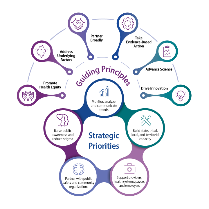 Guiding Principles Infographic Large infographic with the words guiding principles and strategic priorities.