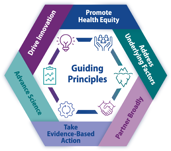 Infographic: Guiding Principles - Hexagon A hexagon shape with a guided principle along each side in a different color.