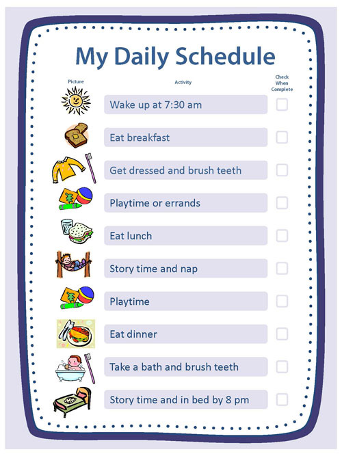 My Daily Schedule