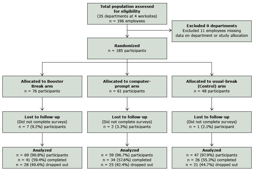 Stages of the Booster Break study for intent-to-treat analyses (all participants); 100% of participants were analyzed using intent-to-treat.