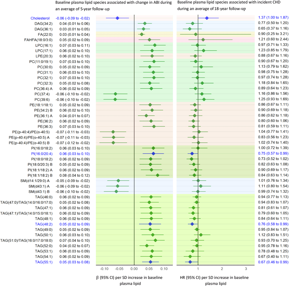 24_0220_01 Baseline plasma lipid species associated with change in ABI (Q < .05). Lipids significantly associated with incident CHD are highlighted in blue. “A” or “B” in name of lipids indicates isomers. Abbreviations: ABI, ankle-brachial index; CHD, coronary heart disease; DAG, diacylglycerol; eGFR, estimate glomerular filtration rate; HR, hazard ratio; FA, fatty acid; FAHFA, fatty acid ester of hydroxy fatty acid; LPC, lysophosphatidylcholine; LPE, lysophosphatidylethanolamine; PC, phosphatidylcholine; PE, phosphatidylethanolamine; PI, phosphatidylinositol; SM, sphingomyelin; TAG, triacylglycerol.