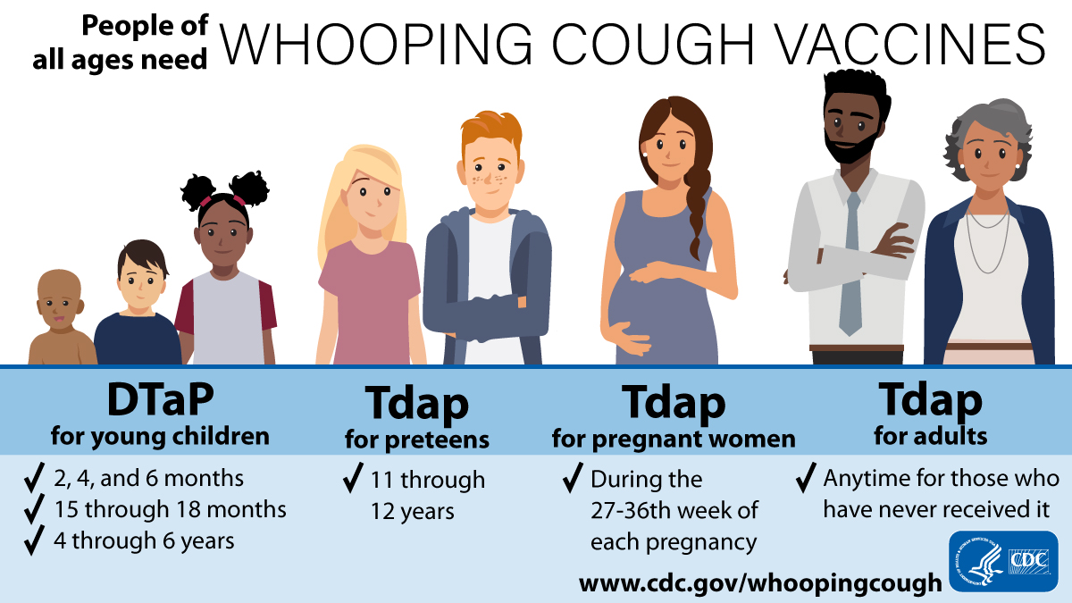 Pertussis vaccine rec horizontal Illustration of people at different stages of life who need whooping cough vaccines.