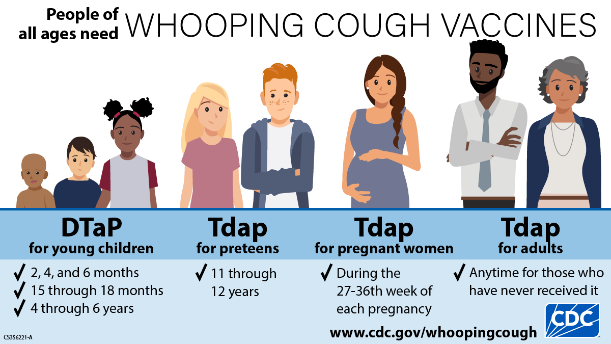 Pertussis Vaccination-New CDC Logo Illustration of people at different stages of life who need whooping cough vaccines.
