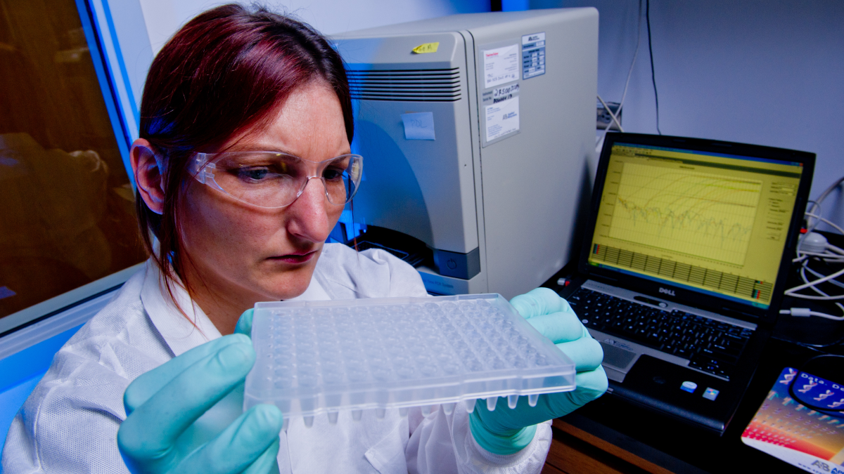 Real-time PCR A CDC laboratorian sets up for a polymerase chain reaction test sample for pertussis.