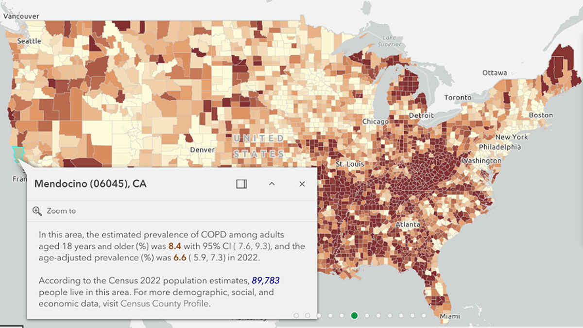 Interactive map sample showing United States broken down into color-coded counties and places.