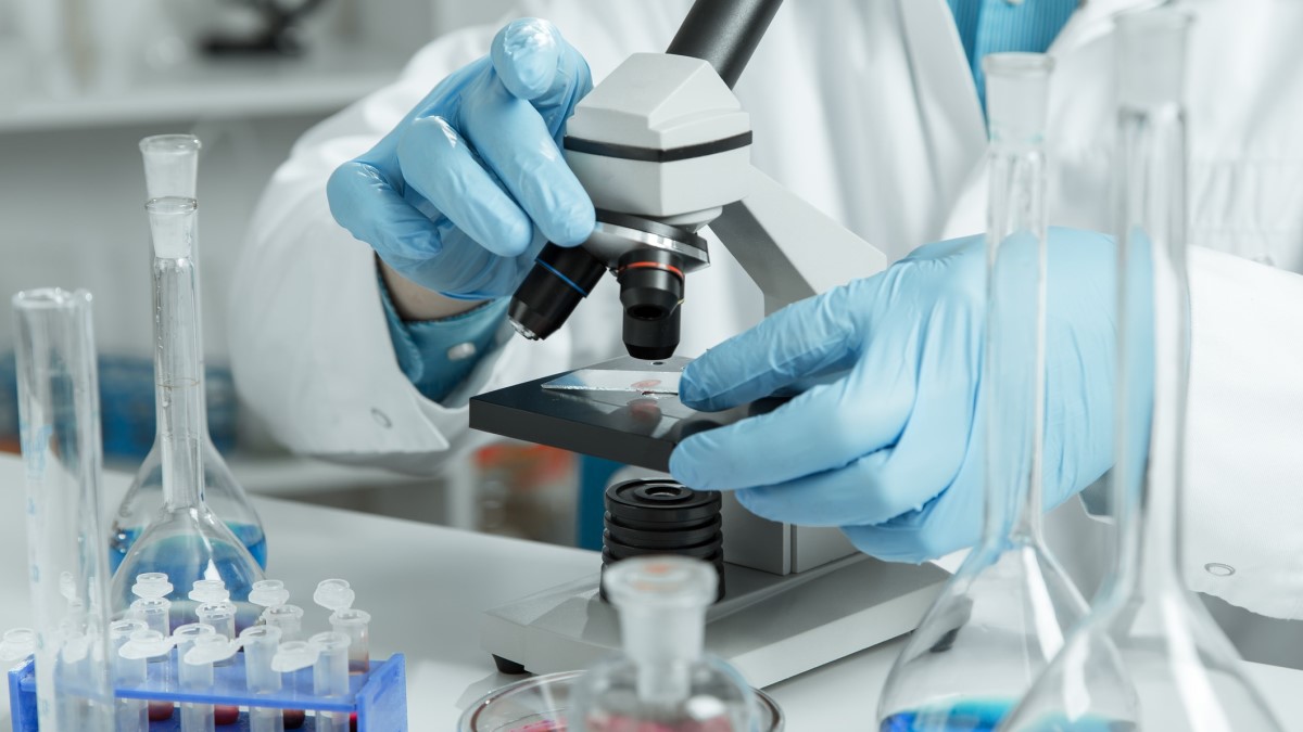 Microscope a pathologist looking at a biopsy under a microscope