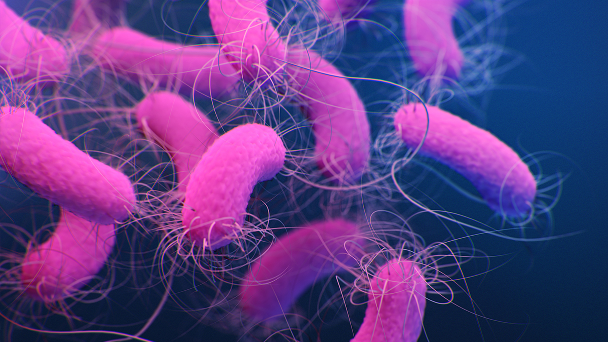 Medical illustration of multidrug-resistant Pseudomonas aeruginosa