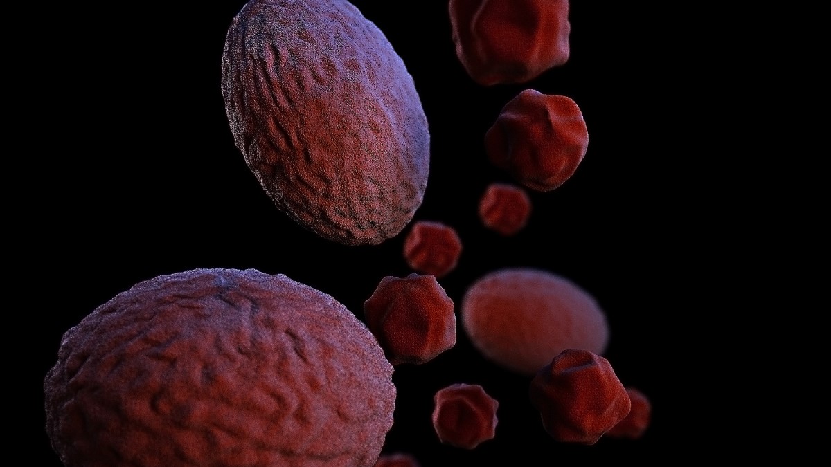 Chlamydia psittaci Illustration of Chlamydia psittaci bacteria