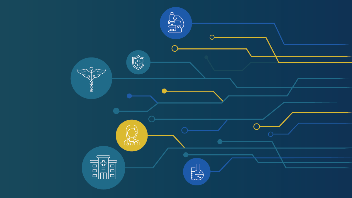 PHDS partners include: federal partners, the public, providers, CDC, national partners, healthcare systems and STLTs.