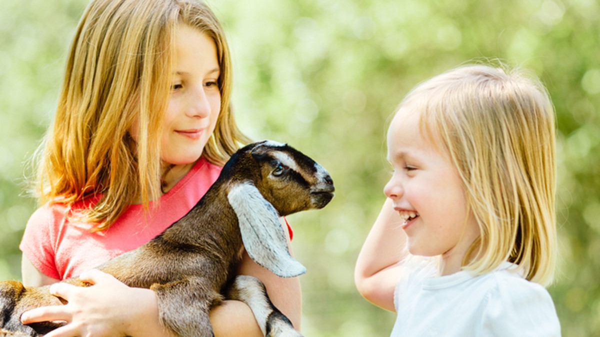 Two girls holding a baby goat
