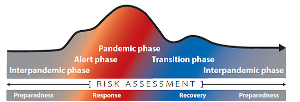 Pandemic phases There are 5 pandemic phases: interpandemic phase when the focus is on preparedness, alert phase and pandemic phase when the focus is on response, transition phase when the focus is on recovery, and a return to interpandemic phase.