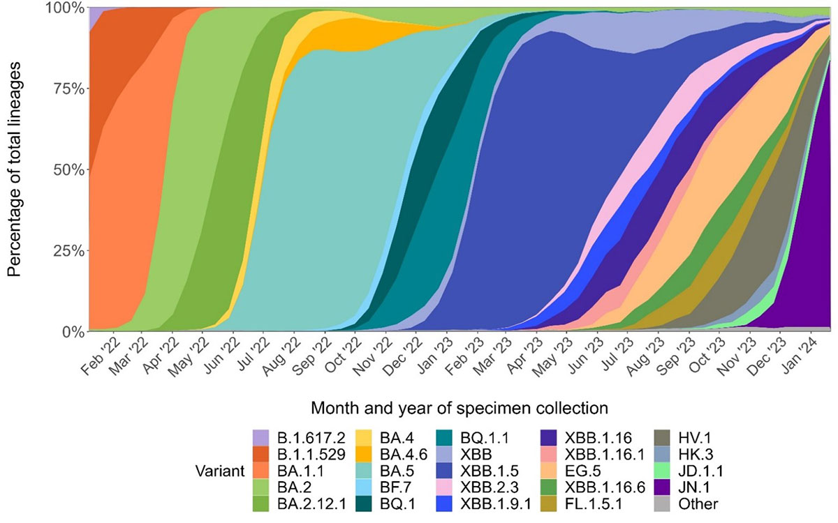 4n A wide range of SARS-CoV-2 variants have been causing infections over time, most recently dominated by JN.1, representing increased transmission or immune escape by successive variants