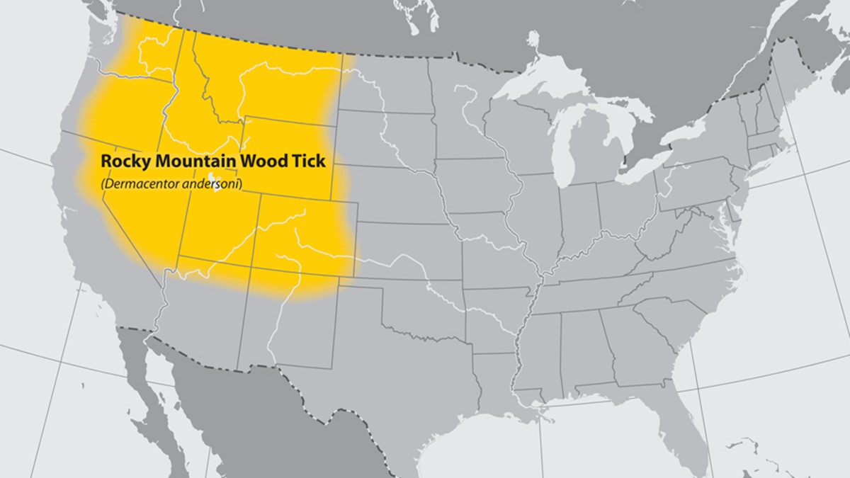 Rocky Mountain wood tick US map Map of the United States showing range of Rocky Mountain wood tick