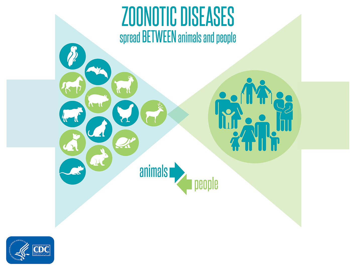 — title missing — Zoonotic Disease infographic.
