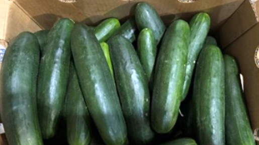 Green cucumbers in a brown box Green cucumbers in a brown box