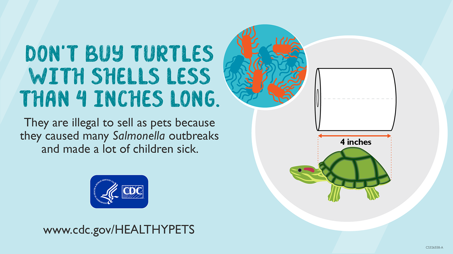 Tiny Turtles Small turtle being measured with text saying "Don't buy turtles with shells less than 4 inches long. They are illegal to sell as pets because they caused many Salmonella outbreaks and made a lot of children sick."