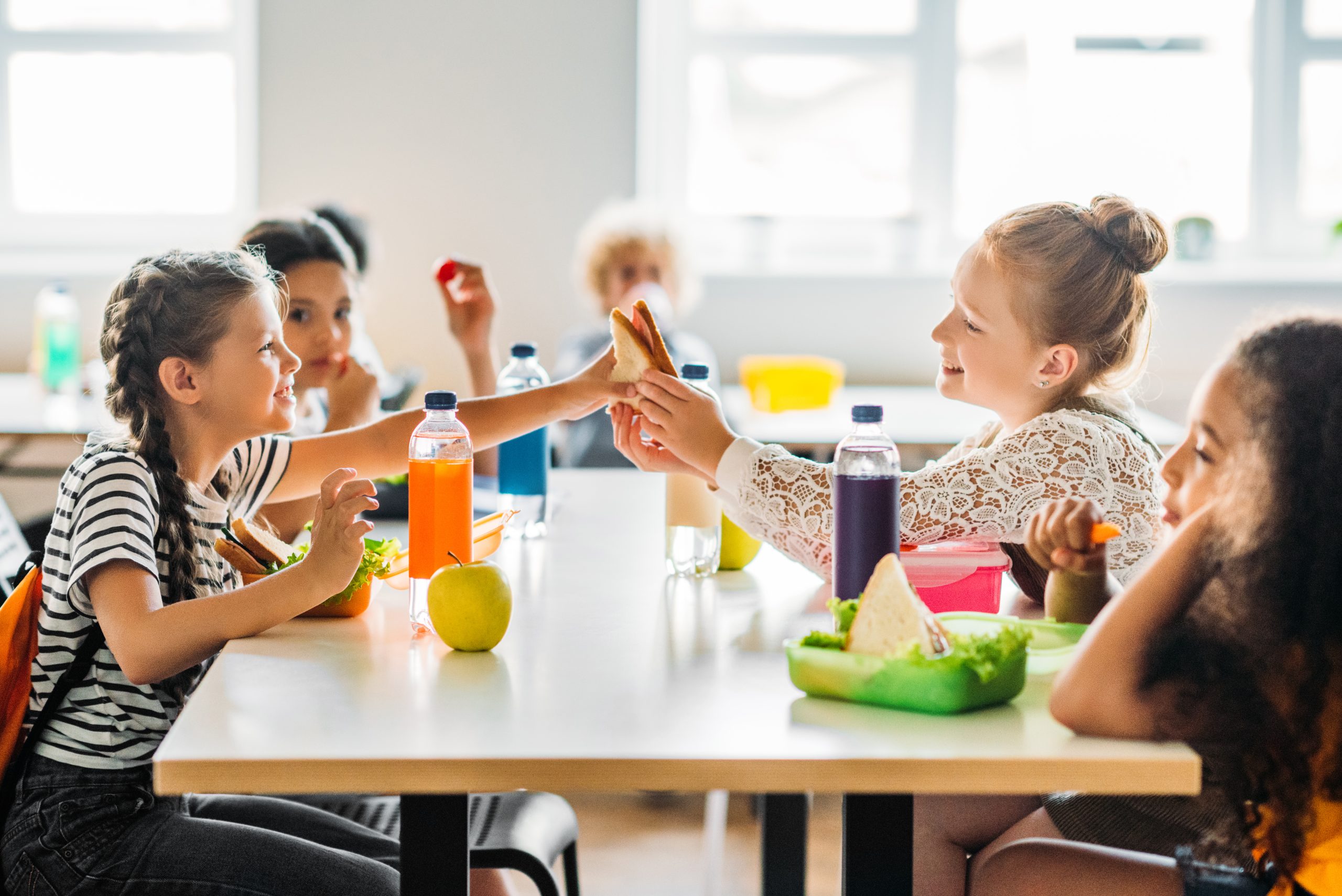 A group of students eating lunch at school. A group of students eating lunch at school.