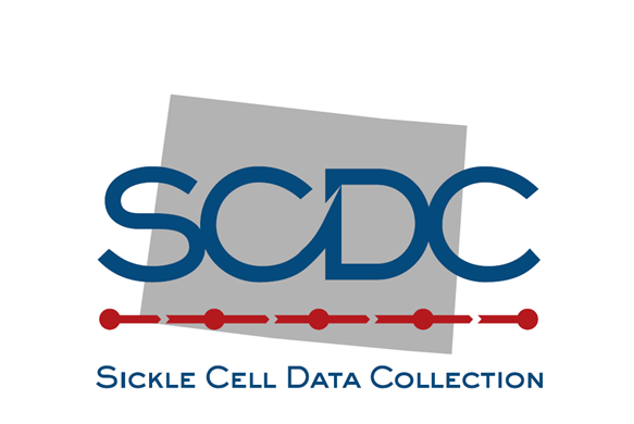 Colorado SCDC Logo Colorado SCDC Logo