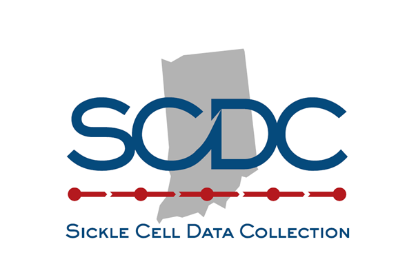 Indiana SCDC Logo Indiana SCDC Logo