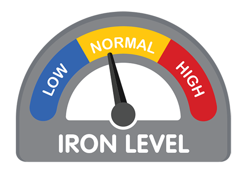 — title missing — Illustration of a concept gauge showing iron levels: low, normal and high.