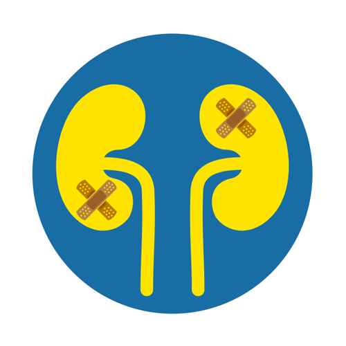 — title missing — Illustration showing kidneys with damage.