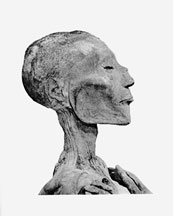 Mummy A mummy's head
