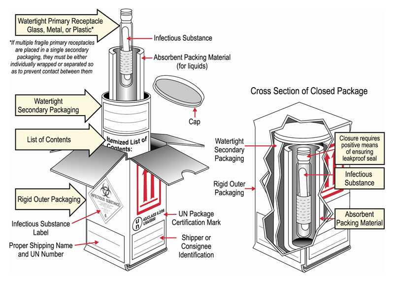 Cat A Infectious Substance Diagram showing how to securely package Category A infectious substances for shipping