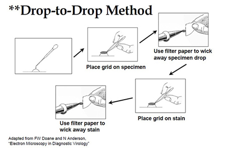 Drop to Drop Method Illustrated steps of drop-to-drop method