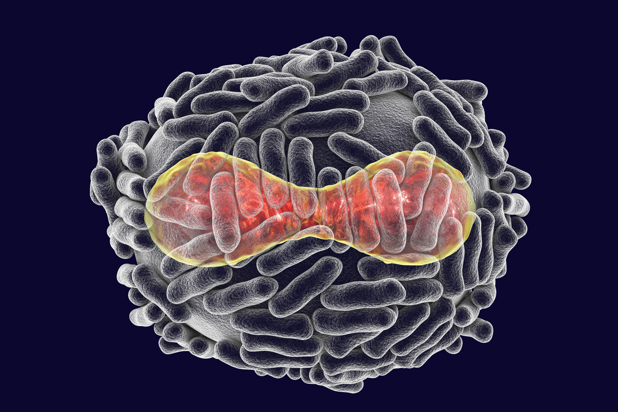 — title missing — Variola virus, a virus from Orthopoxviridae family that causes smallpox, highly contagious disease eradicated by vaccination, 3D illustration