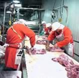 hhe4.jpg_70698 Trabajadores cortando carnes en un matadero.