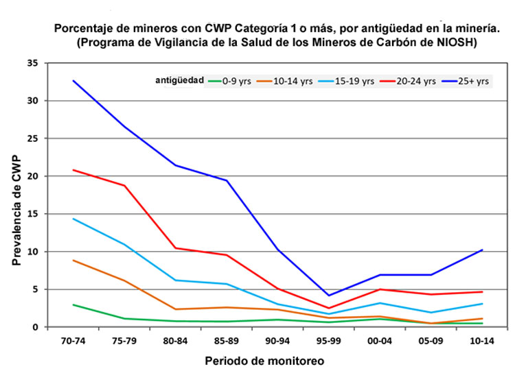 Porcentaje de mineros con CWP Categoría 1 o más, por antigüedad en la minería. Porcentaje de mineros con CWP Categoría 1 o más, por antigüedad en la minería.