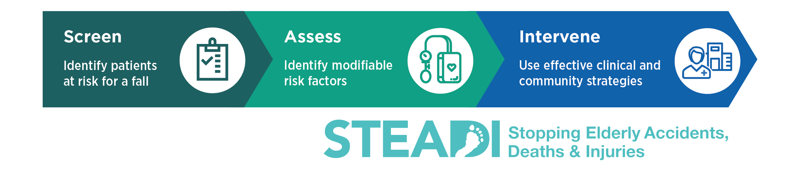 STEADI (Stopping Elderly Accidents, Deaths & Injuries) logo - Screen, Assess, Intervene