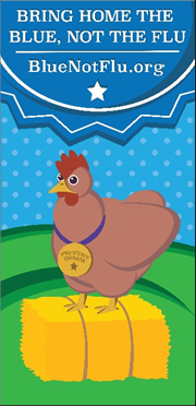 bring-home-the-blue More information about the bring home the blue not the flu program is available at bluenotflu.org. Pictured is a chicken with a medal around its neck standing on a hay bale.