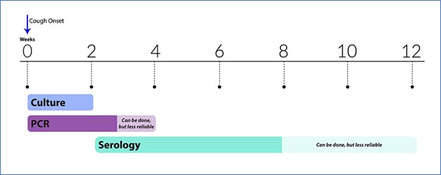 chapt10-pertussis-figure-2 pertussis cough chart as described in text