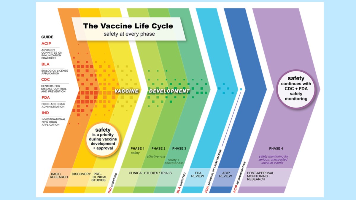 vaccine-life-cycle-large.jpg The Vaccine Life Cycle: Safety at Every Phase