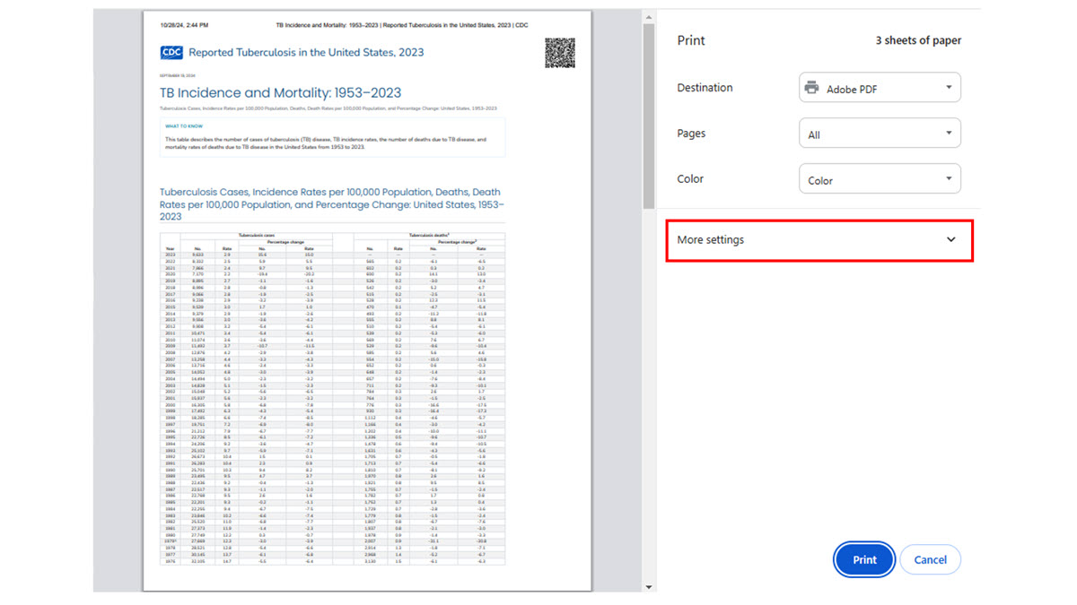 Table Printing Tips Chrome Figure 2 In the pop-up window, click "More settings" to customize the scale and margins.