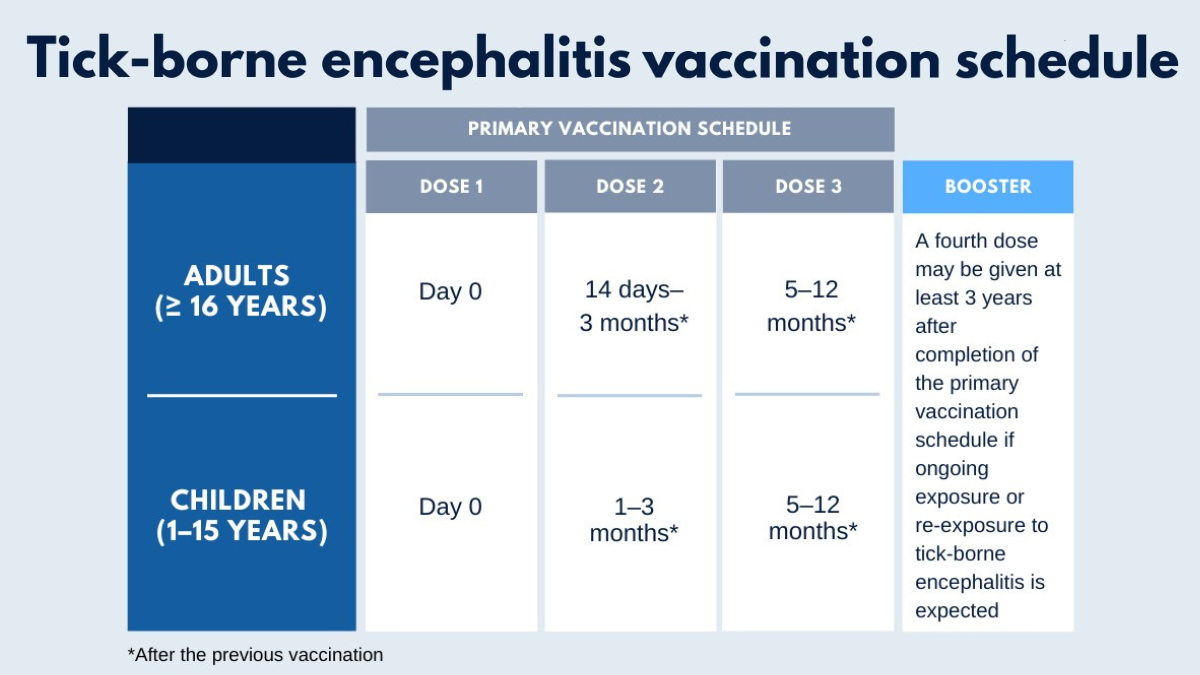— title missing — Graphic showing timing of TBE vaccine doses