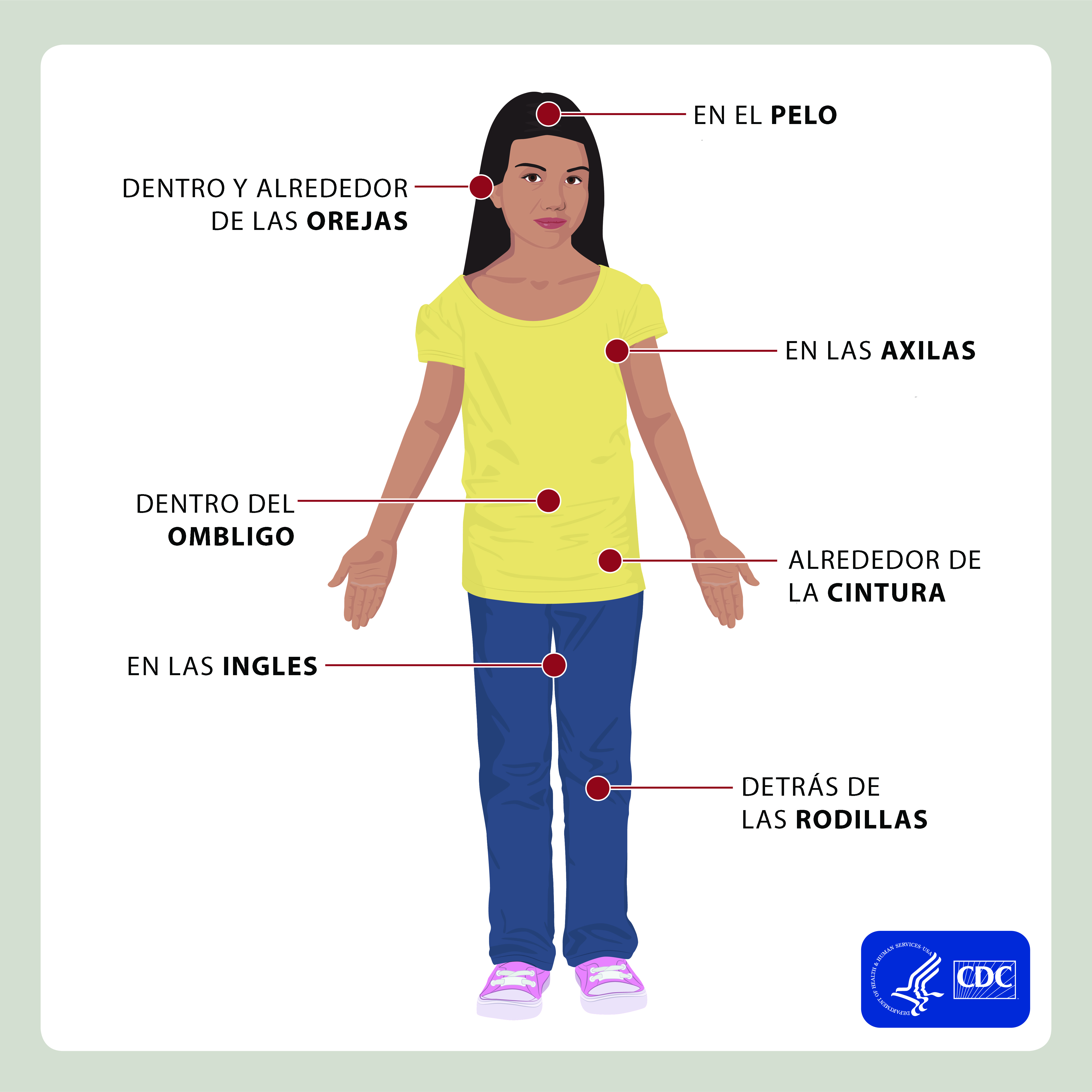 Dibujo de una mujer mostrando dónde buscar garrapatas en el cuerpo: dentro y fuera del pelo, dentro y alrededor de las orejas, debajo de los brazos, dentro del ombligo, entre las piernas y detrás de las rodillas.