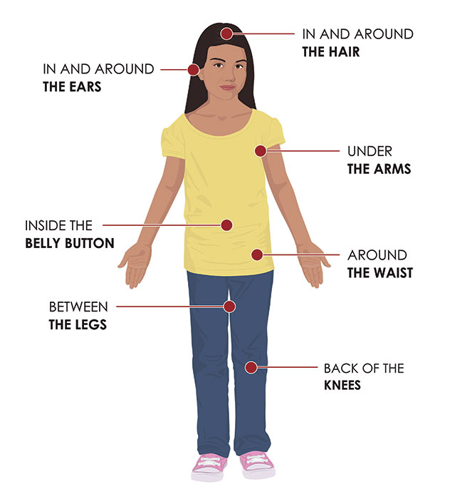 tick_check_print Clipart image of a woman illustrating where on the body to look for ticks: in and around the hair, in and around ears, under the arms, inside belly button, between the legs, back of the knees