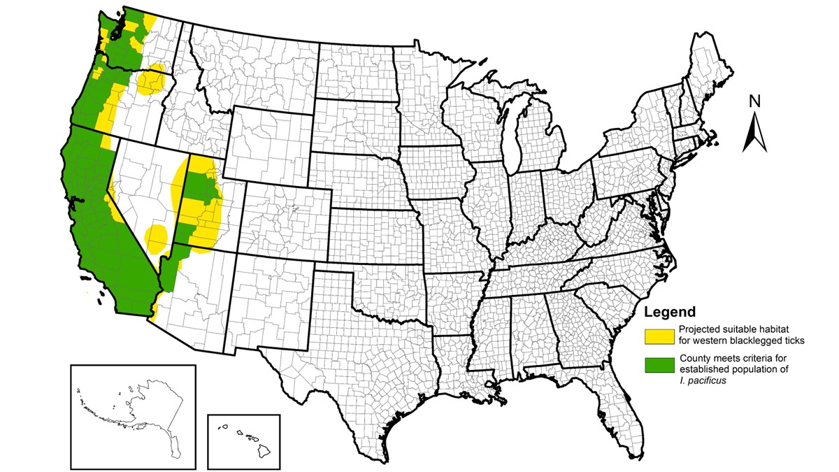 2024-ArboNET-Ixodes-pacificus-county-map_16x9 Map of the United States highlighting projected suitable habitat for Ixodes pacificus ticks and counties where these ticks are established.