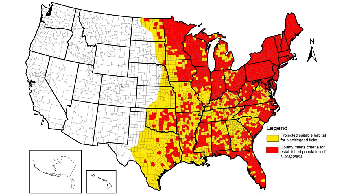 2024-ArboNET-Ixodes-scapularis-county-map_16x9 Image shows map of the United States highlighting suitable habitat for Ixodes scapularis and in which counties this tick is established.