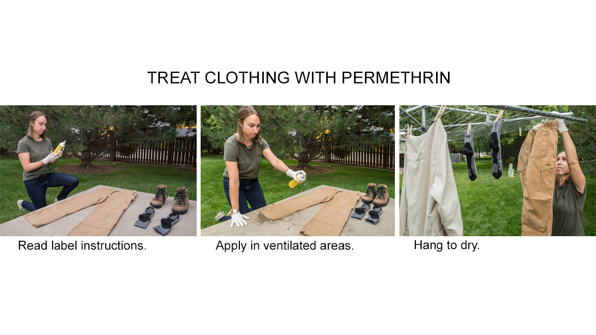 Permethrin series Series of three images showing a woman treating her clothes with permethrin.