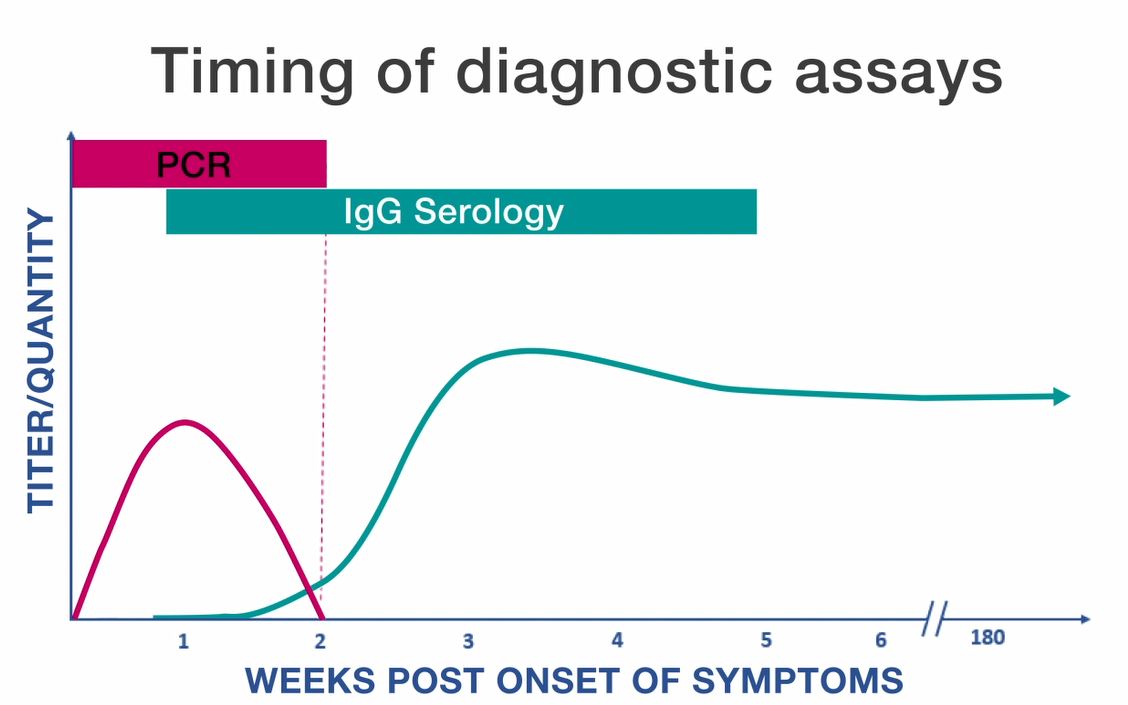 -- title missing -- Line graph displaying timing of diagnostic assays (quantity based on weeks post onset of symptoms), including PCR and IGg Serology assays.