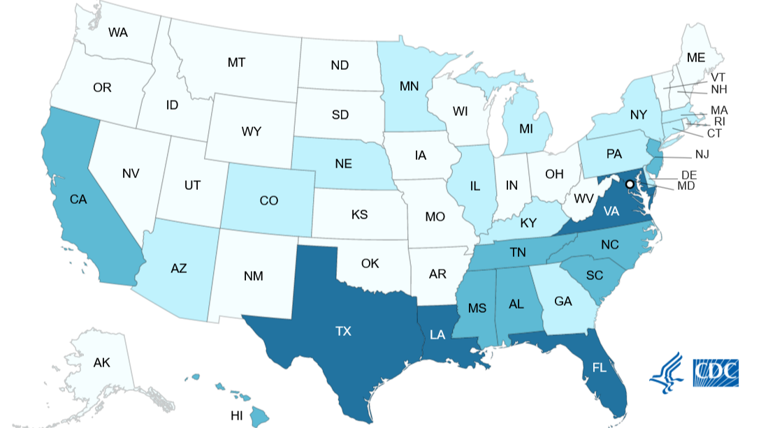 V. vulnificus cases reported in 2019 Map of Vibrio vulnificus cases in the United States reported to the Cholera and Other Vibrio Illness Surveillance System, by jurisdiction in 2019